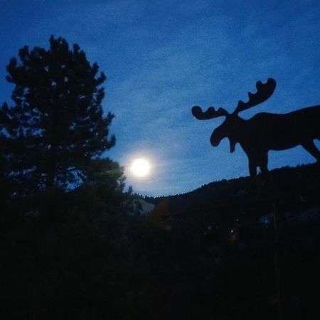 Alpine Moose Lodge Lake City Екстер'єр фото